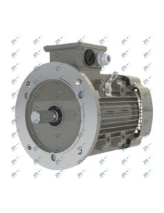 Moteur triphasé 8 pôles - 750 tours/mn